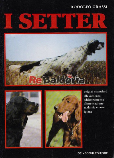 I setter