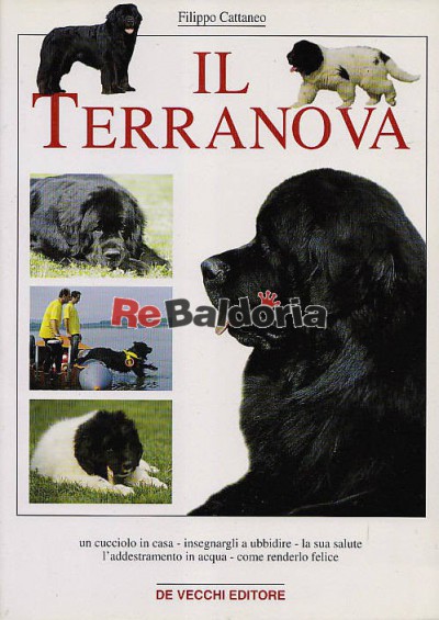 Il terranova