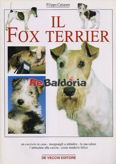 Il fox terrier