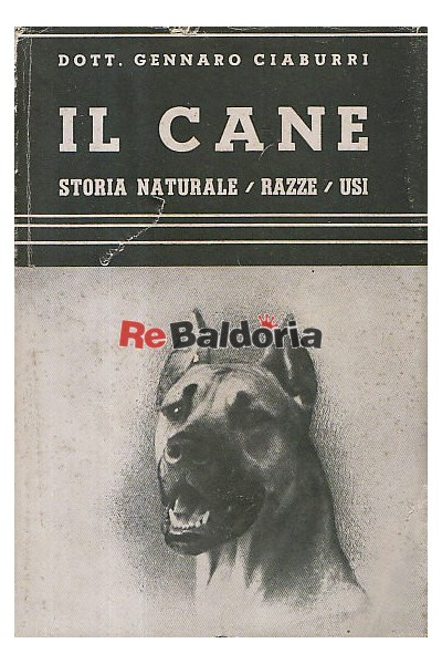 Il cane