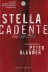 Stella cadente