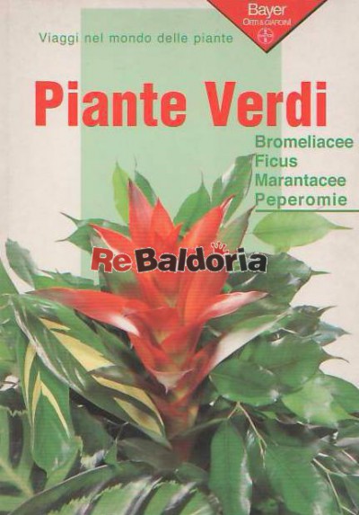 Piante verdi