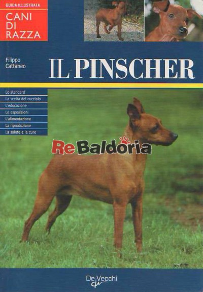 Il pinscher