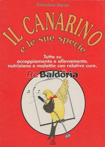 Il canarino e le sue specie